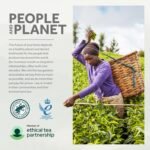 Yorkshire Tea, Total 1040 Tea Bags, (Pack of 3.25 kg) - Image 6